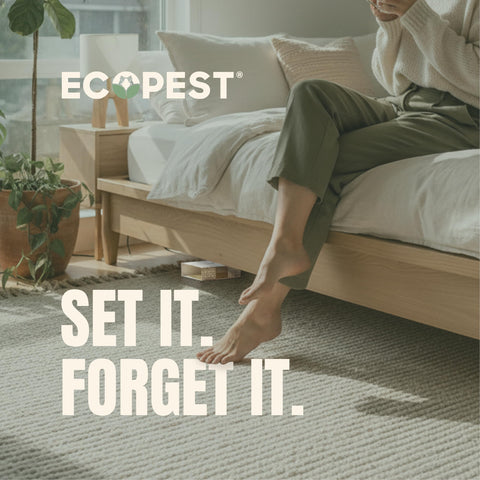 EcoPest drawer-inside trap demonstrates discreet monitoring