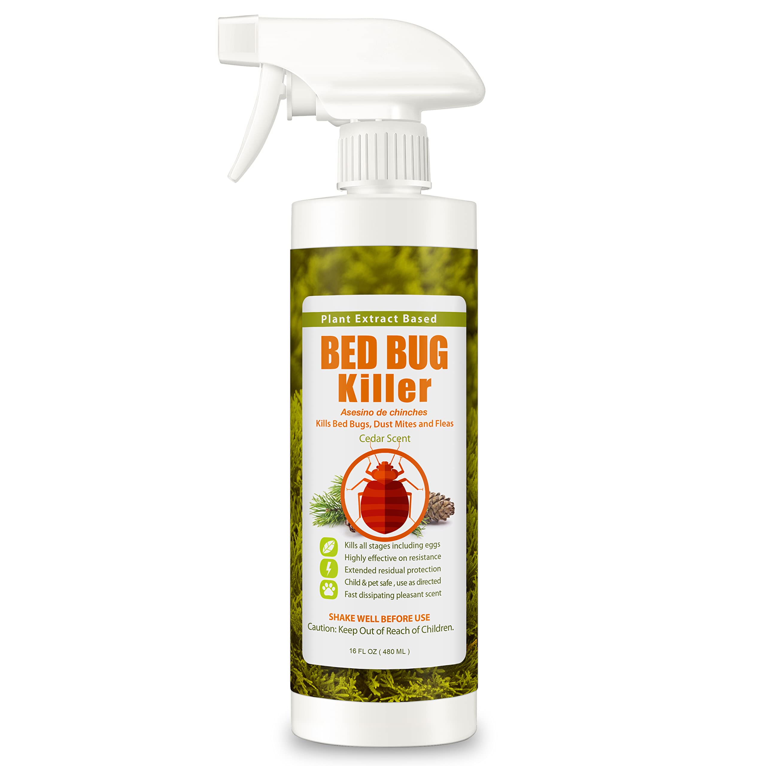 EcoRaider bed bug killer spray bottle shows fast on-contact action.