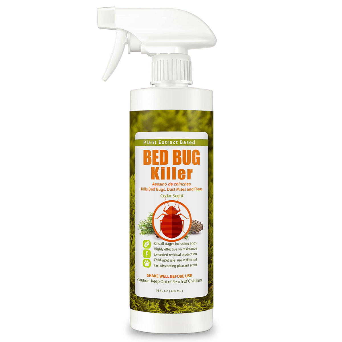 EcoRaider bed bug killer spray bottle shows fast on-contact action.