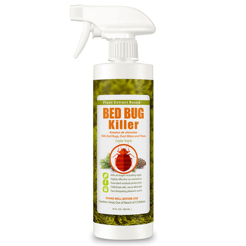 EcoRaider bed bug killer spray bottle shows fast on-contact action.