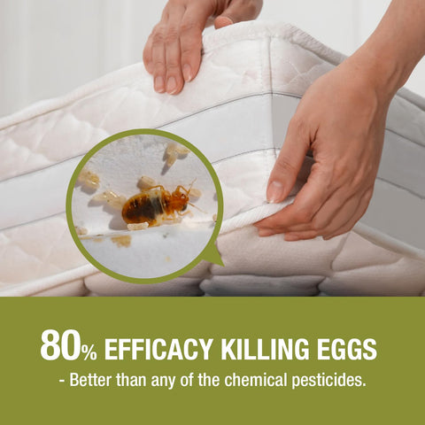 EcoRaider crack and crevice treatment focuses on hard-to-reach areas.