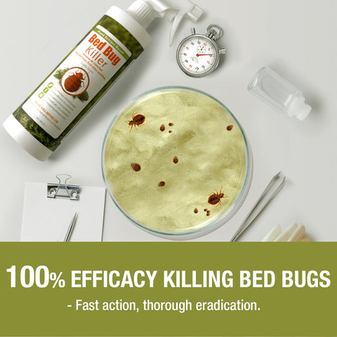 EcoRaider toxin-free formula highlighted for safe home use.