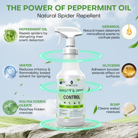 Close-up of peppermint oil spray mist delivering refreshing scent.