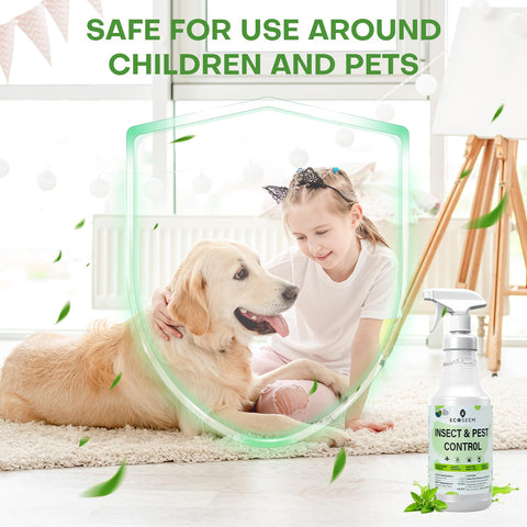 Indoor spray against general pests showing quick action.