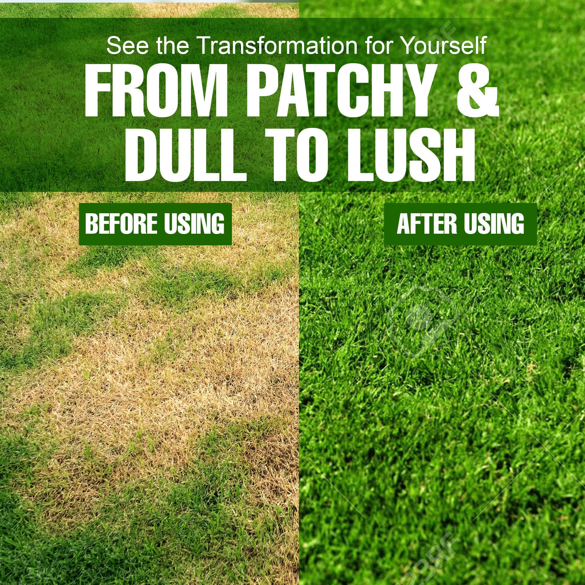 Eco Solutions pet safe lawn care concept with family playing