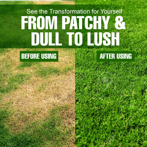 Eco Solutions pet safe lawn care concept with family playing