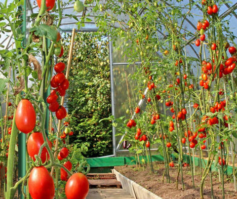 EcoStake blue stake blends with outdoor decor while offering reliable plant support