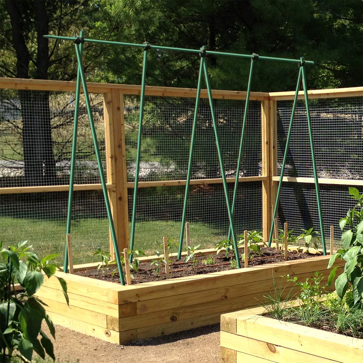 EcoStake orange stake provides high visibility for quick alignment and staking