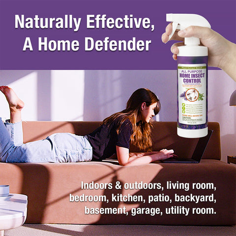 EcoVenger targets spiders and egg sacs in tight corners.