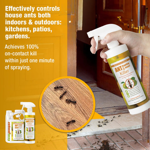 Outdoor patio spray with EcoVenger citrus scent noted.