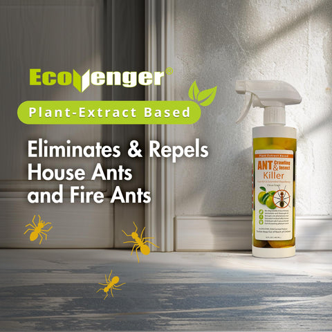 Indoor-use scene with EcoVenger targeting entry points and trails.