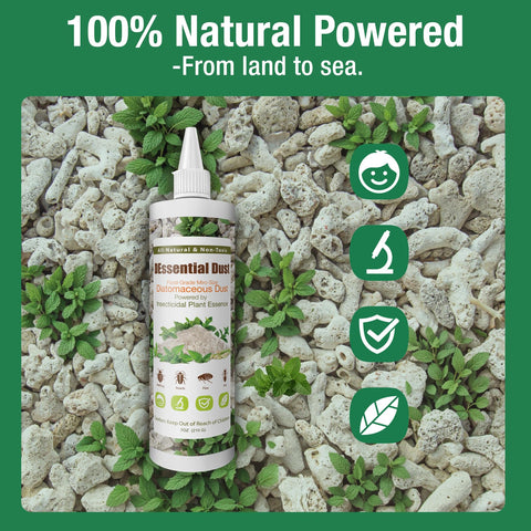 EcoVenger DEssential Dust Peppermint bed-bugs-on-mattress targets bedroom pests with a natural approach.
