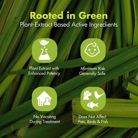 EcoVenger kills fire ants quickly for outdoor protection