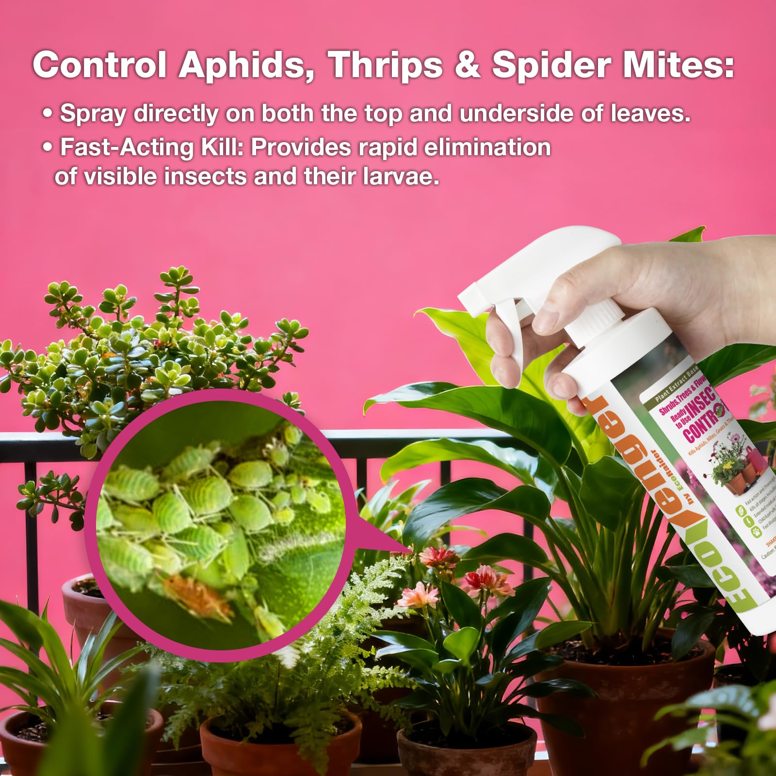 EcoVenger Garden Insect Control indoor-use setup on houseplants.