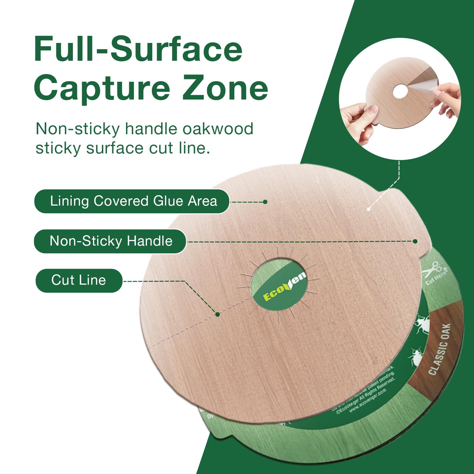 EcoVenger glue trap with oak finish captures bed bugs while blending with floors.