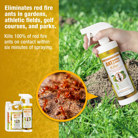 EcoVenger safe for kids and pets, plant-based formula