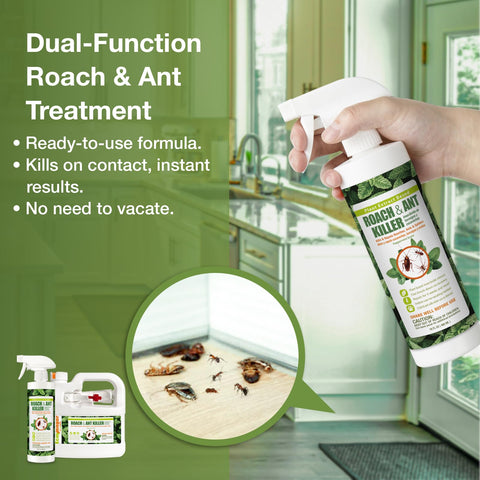 EcoVenger kitchen scene shows safe effective treatment without disruption
