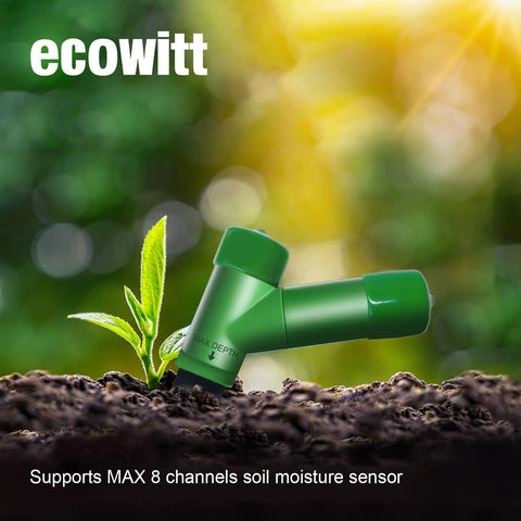 ECOWITT potted plant moisture monitoring in action
