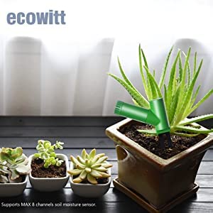 ECOWITT WH0291 supports practical plant care scenarios in various environments.