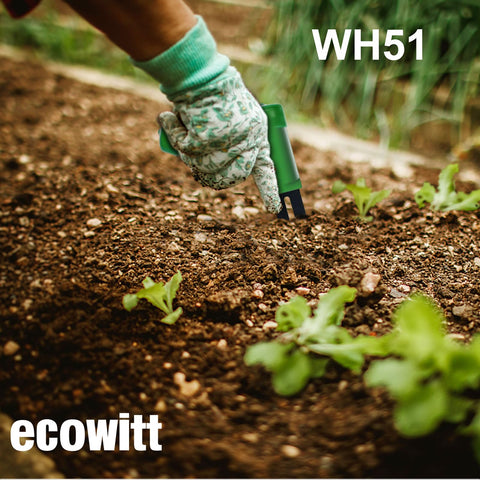 Real-time WH51 data visible on WS View Plus or Ecowitt app