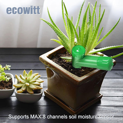 ECOWITT Wi-Fi setup via app or web portal for GW1206