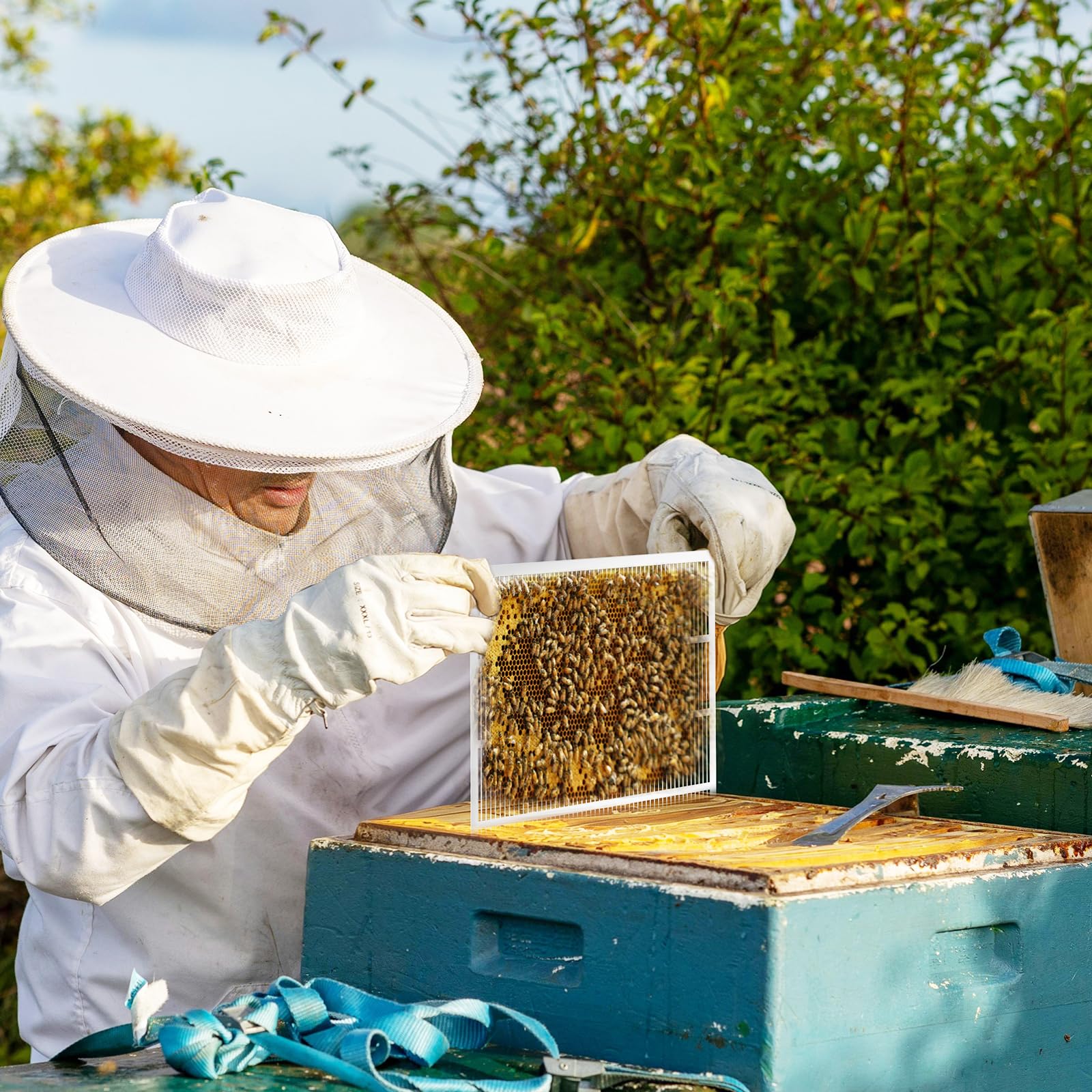 ECRIZA metal queen excluder as part of beekeeping tools and equipment