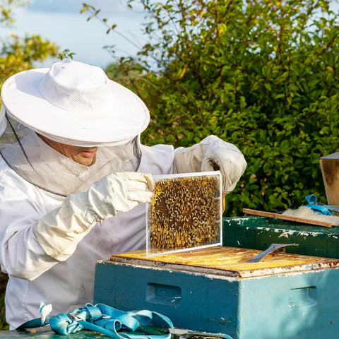 ECRIZA metal queen excluder as part of beekeeping tools and equipment