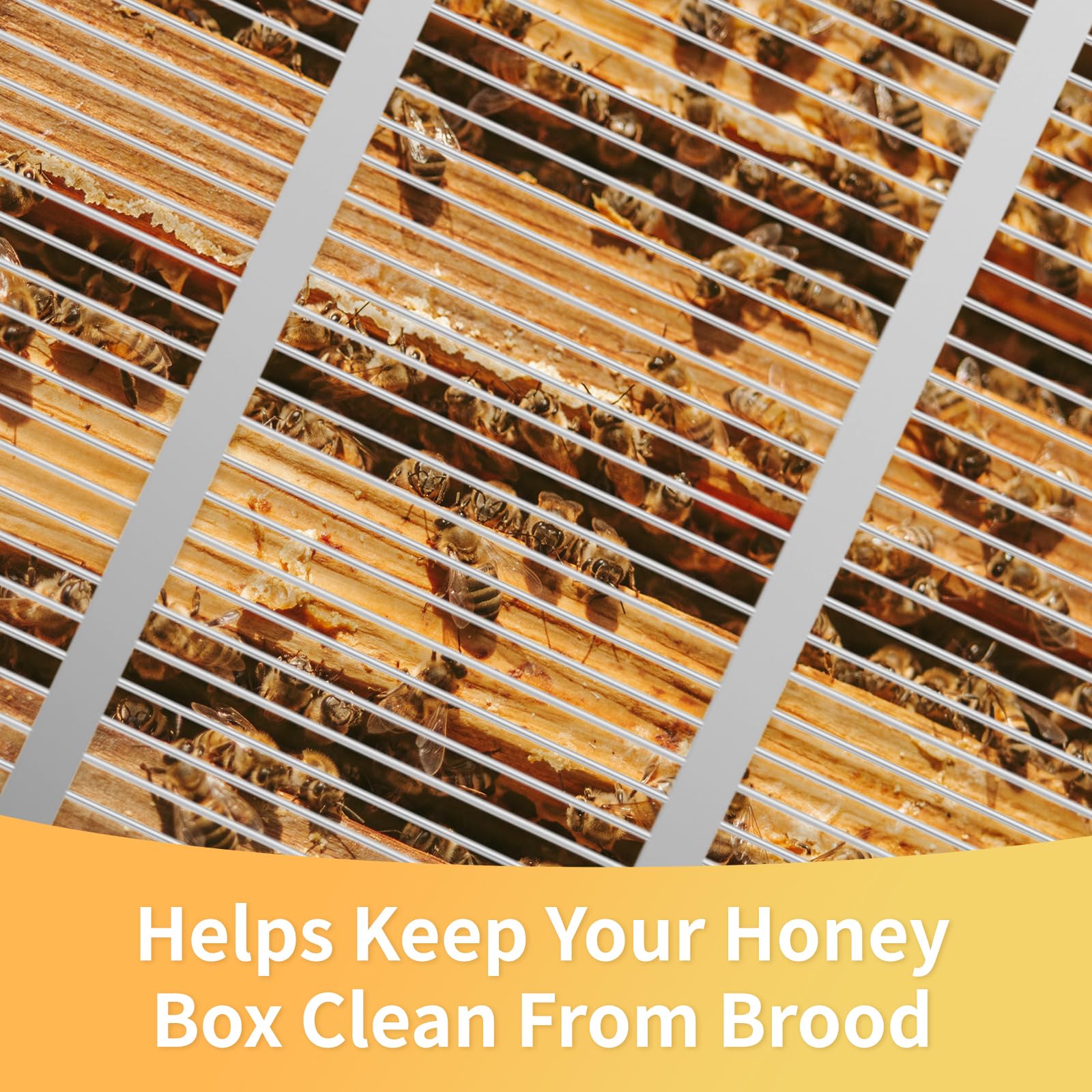 Excluder installed in a 10-frame hive demonstrating fit and placement