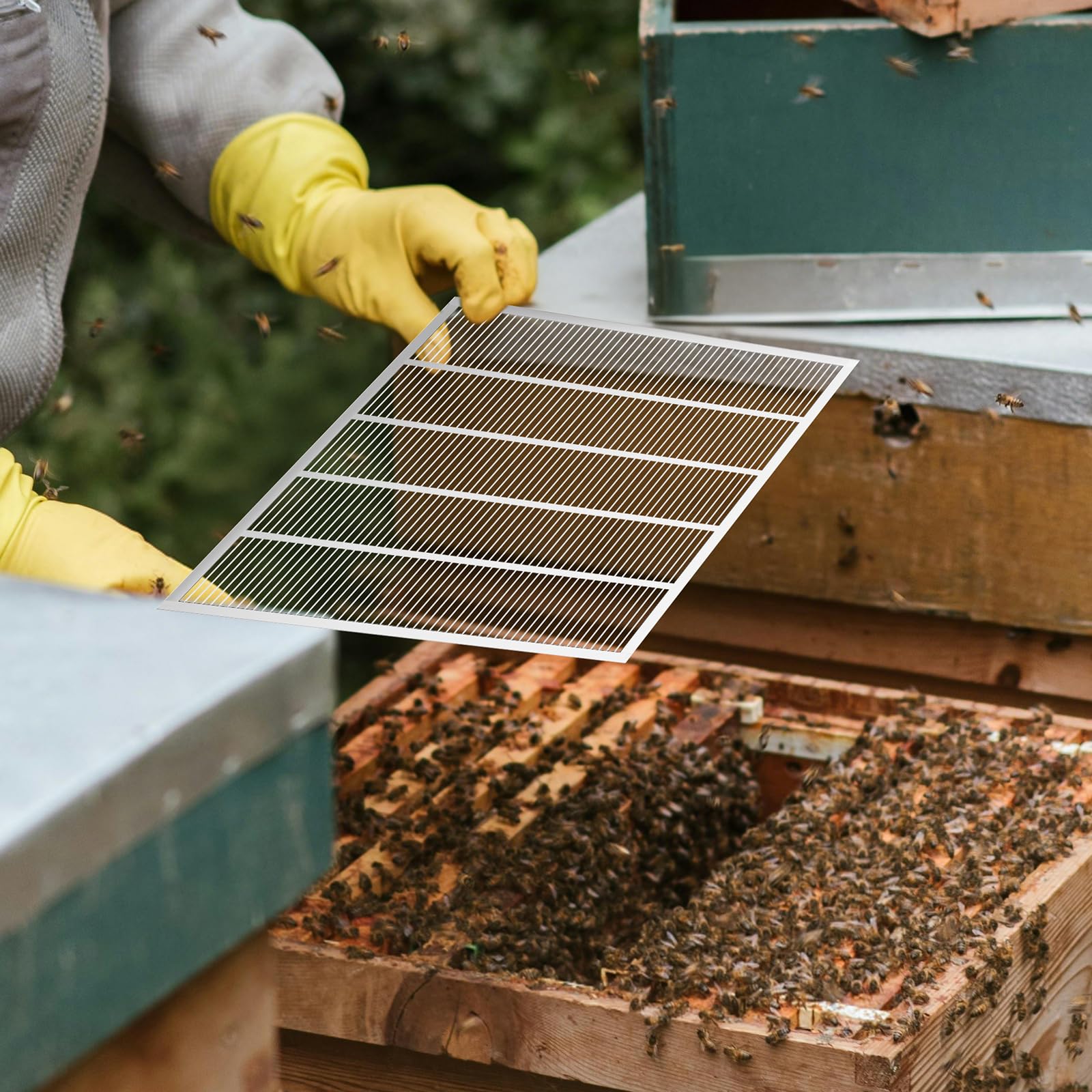 Rustproof durable ECRIZA queen excluder designed for outdoor apiary use