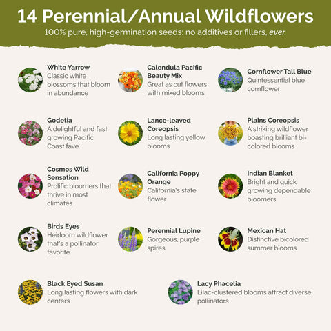 Eden Brothers 16-species seed mix grows with minimal effort.