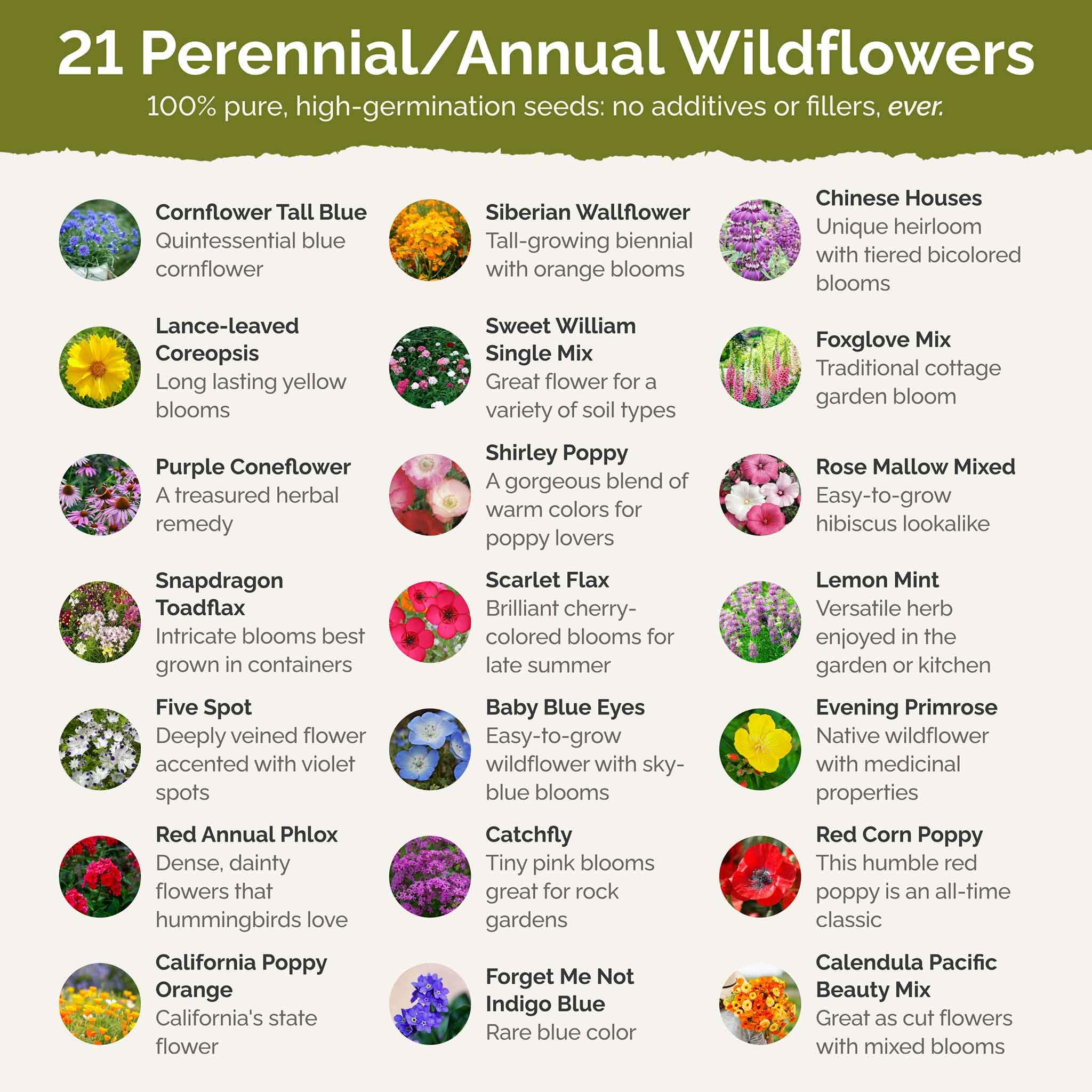 Eden Brothers 27-species wildflower mix delivers varied color and pollinator habitat.