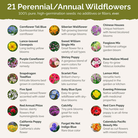 Eden Brothers 27-species wildflower mix delivers varied color and pollinator habitat.