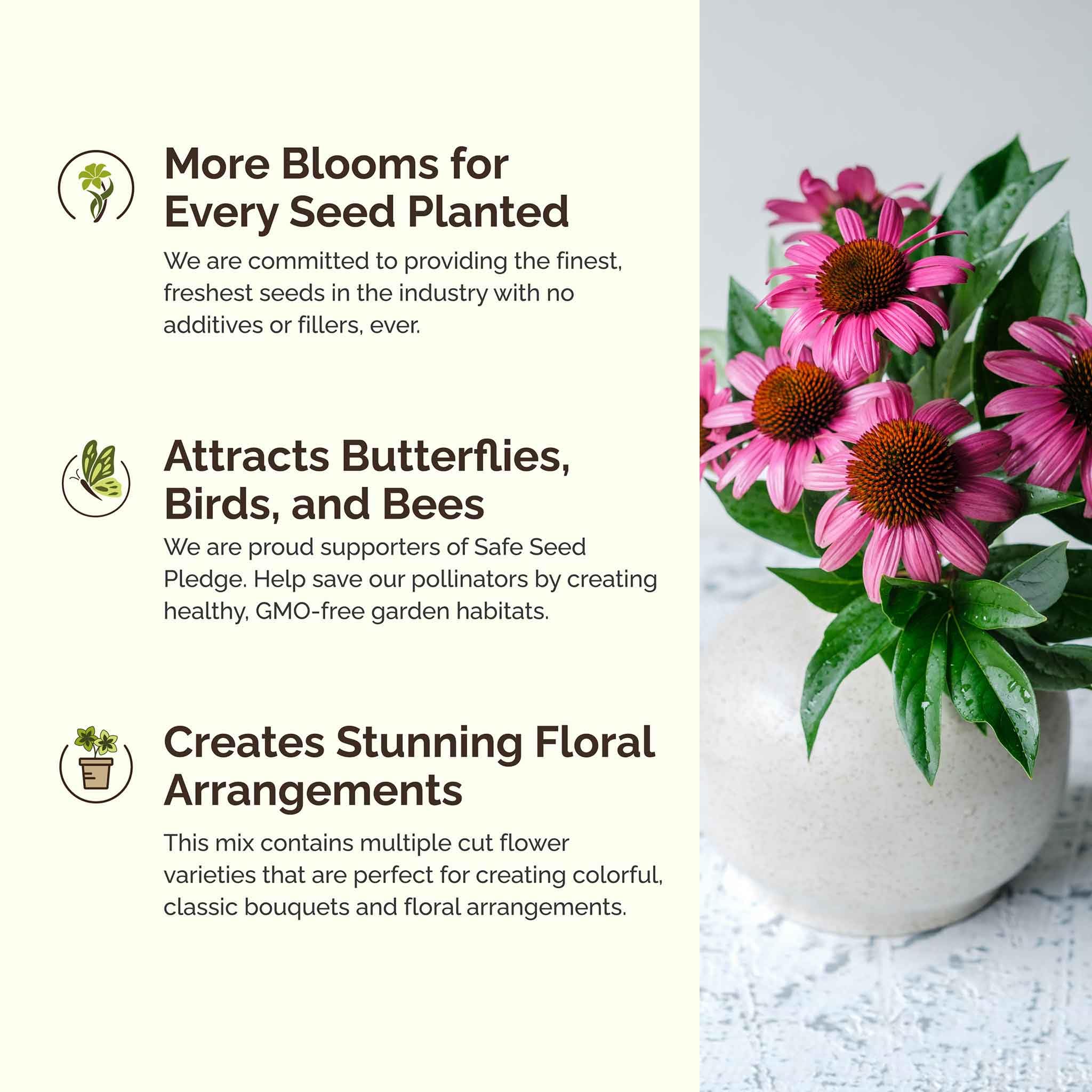 Eden Brothers Bees Knees wildflower mix bloom display in sun.