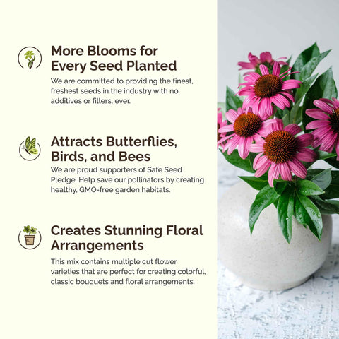 Eden Brothers Bees Knees wildflower mix bloom display in sun.
