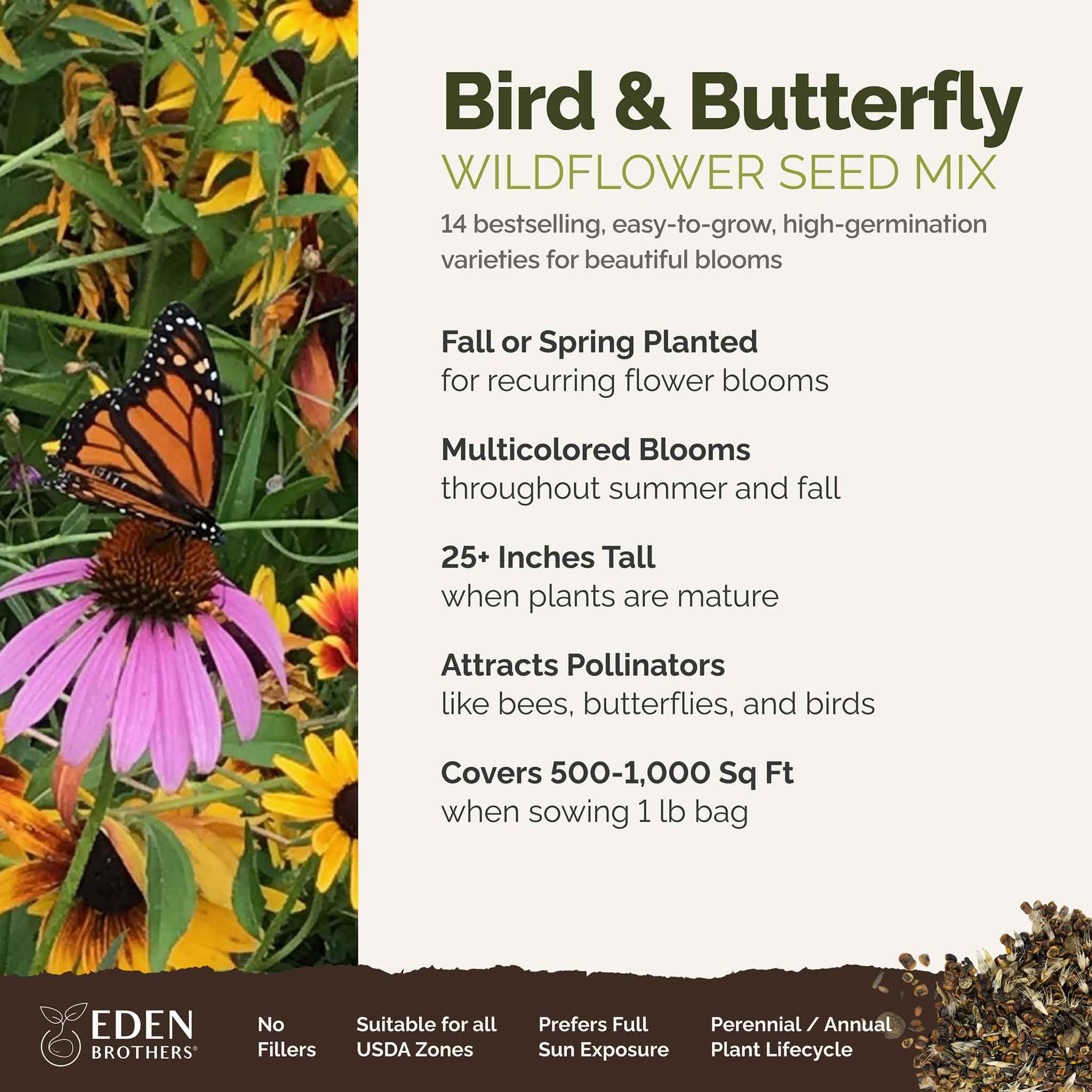 Eden Brothers bird and butterfly wildflower mix attracts pollinators.
