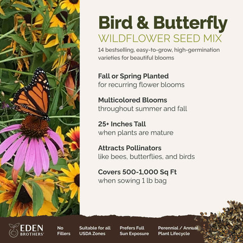 Eden Brothers bird and butterfly wildflower mix attracts pollinators.