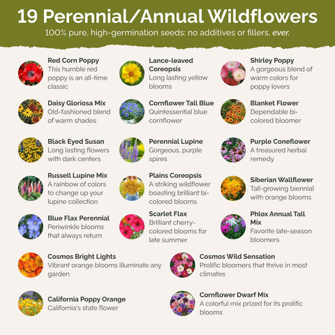 Eden Brothers Burst of Bloom seed mix promoting pollinator-friendly gardens.