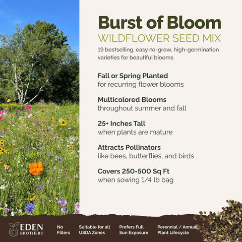 Eden Brothers Burst of Bloom seeds spread on soil for a vibrant, pollinator-friendly garden bed.