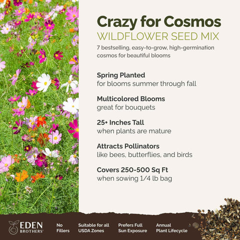 Eden Brothers Cosmos Gloria bloom seeds for bright, long-lasting garden color.
