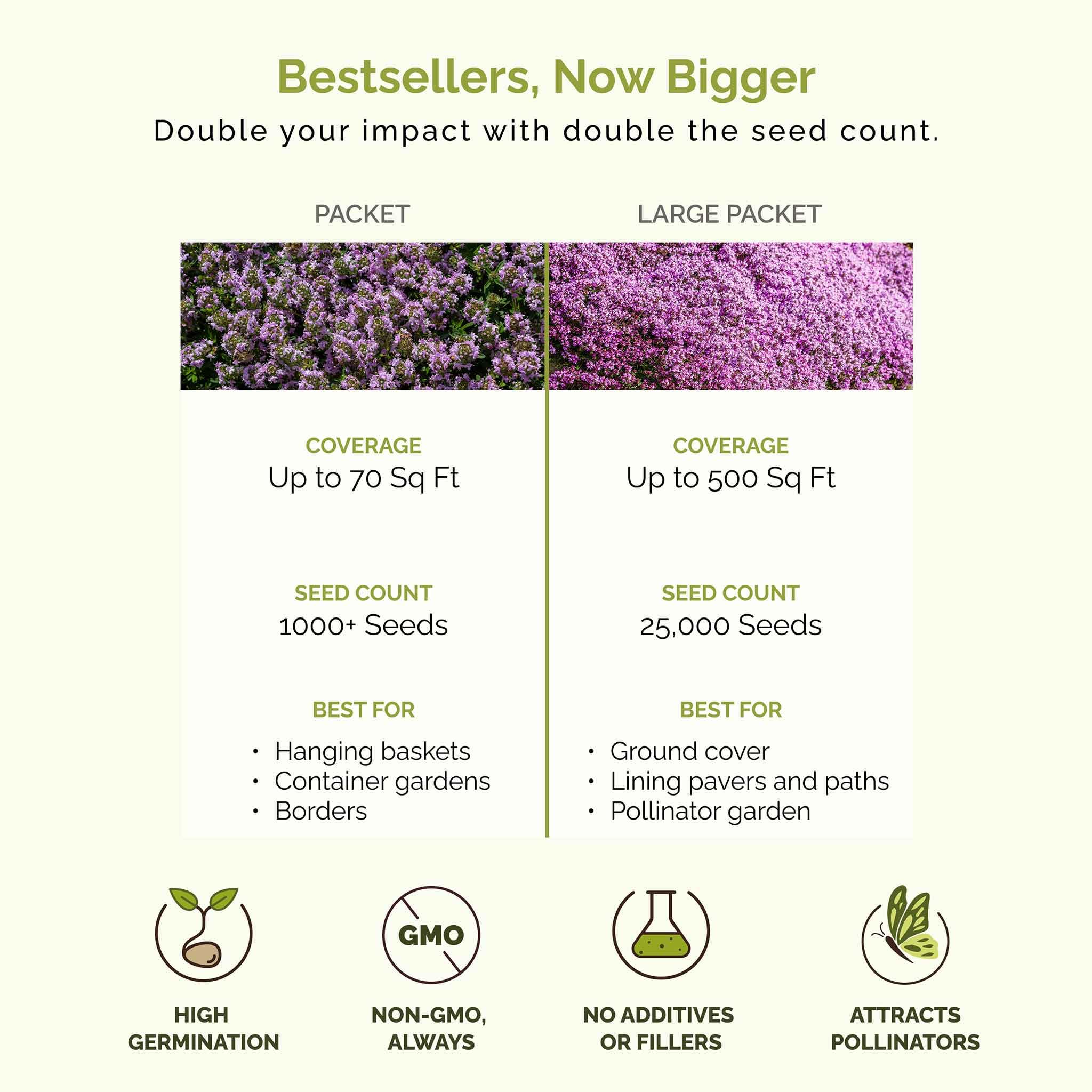 Eden Brothers Creeping Thyme groundcover closeup shows leaves and fragrance.