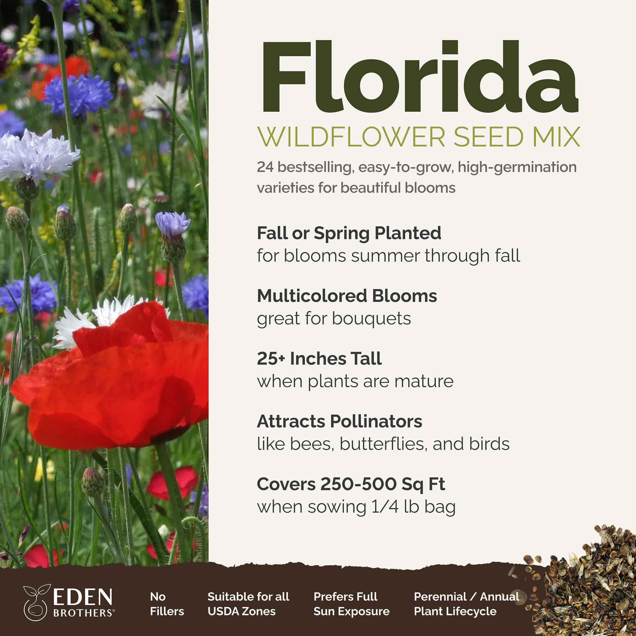 Garden bed with Eden Brothers Florida Wildflower Seeds offering colorful borders.