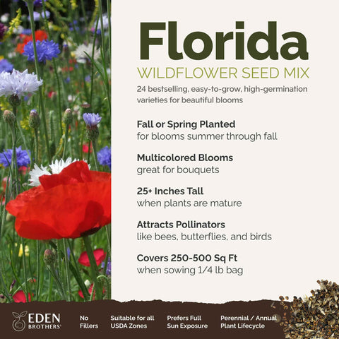 Garden bed with Eden Brothers Florida Wildflower Seeds offering colorful borders.