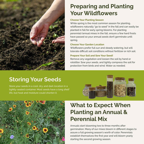 Eco-friendly gift-ready Eden Brothers Florida Wildflower Seeds mix for gardeners.