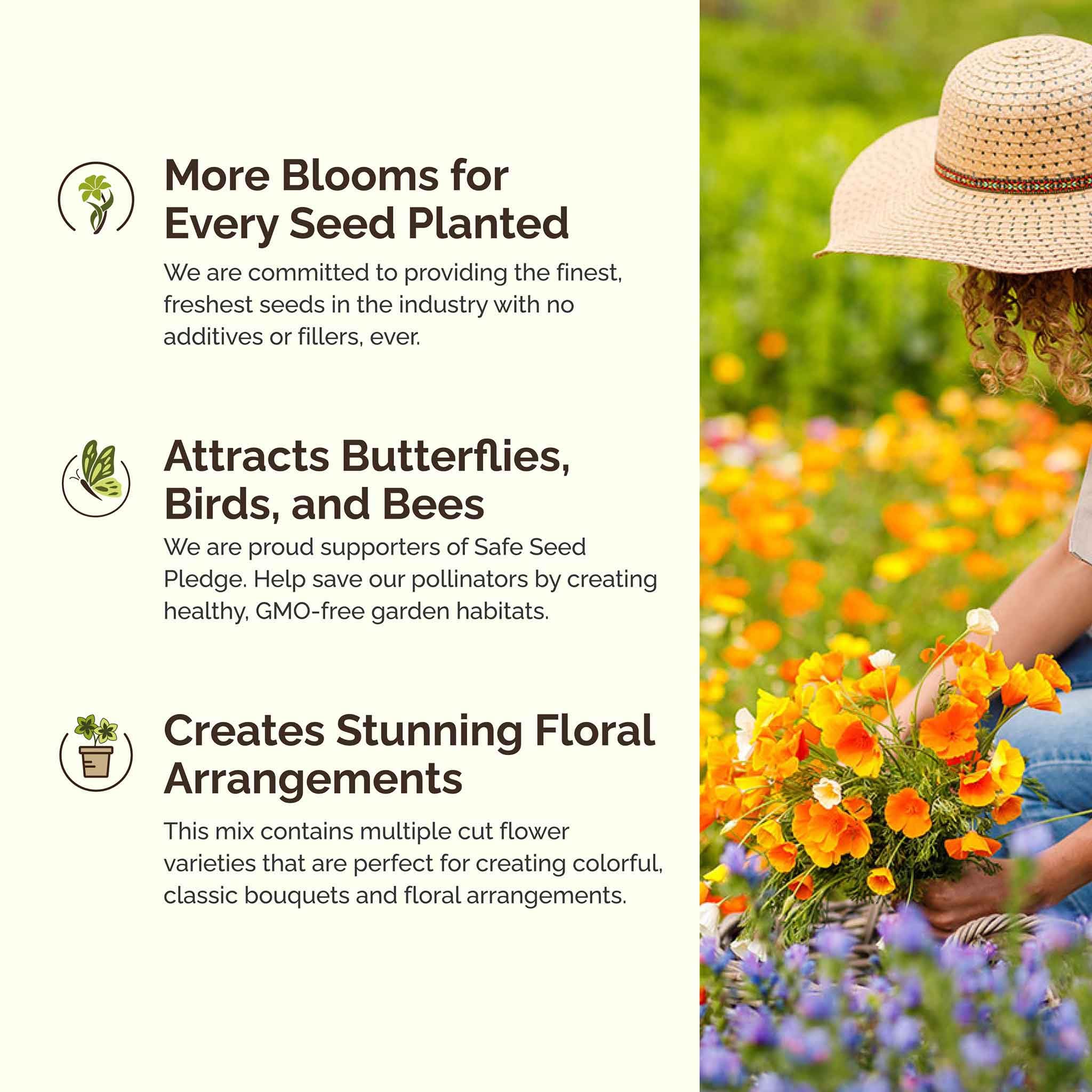 Eden Brothers full-sun seed blend for vibrant, long-lasting blooms.