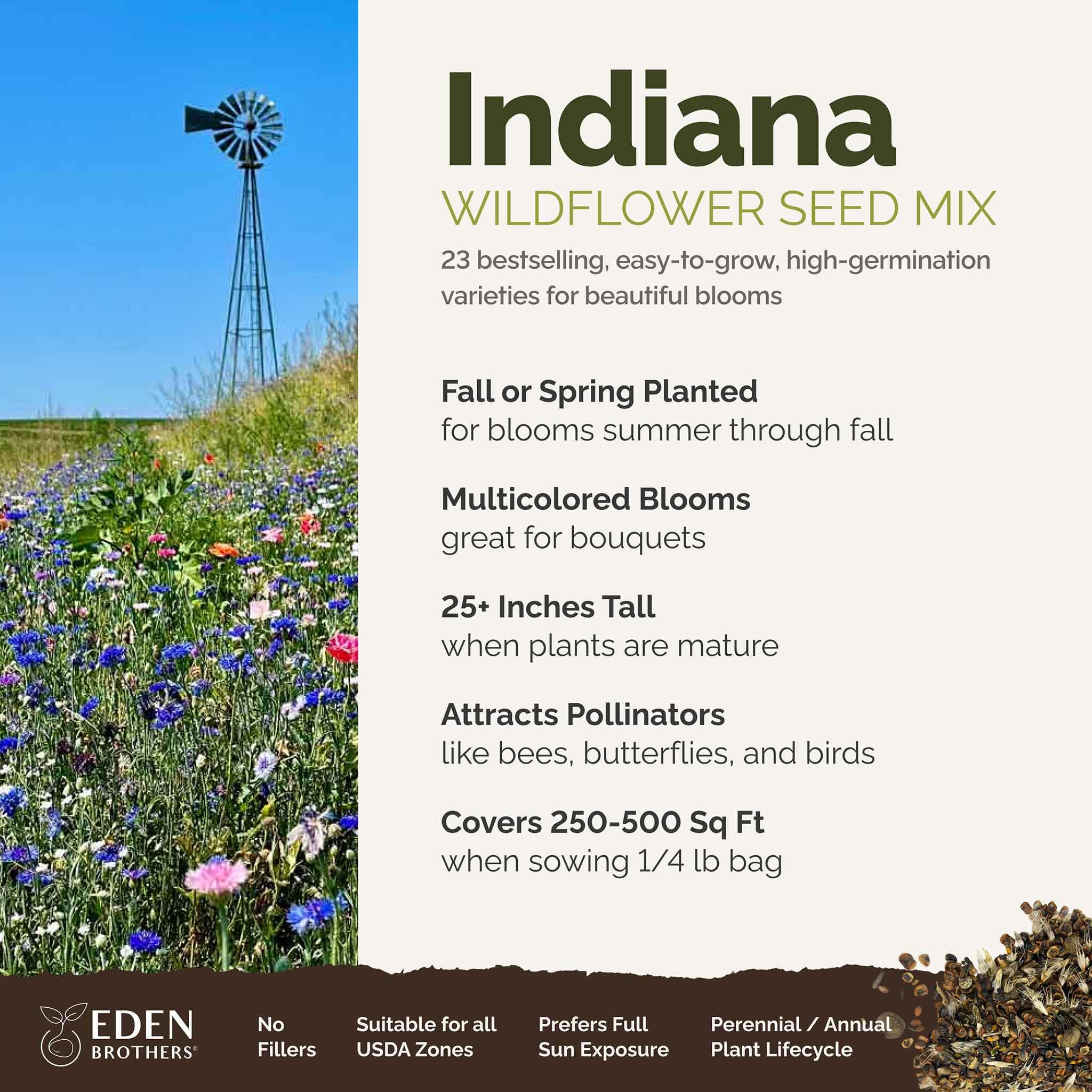 Eden Brothers Indiana wildflower seeds hand planting demonstrates easy sowing for vibrant blooms