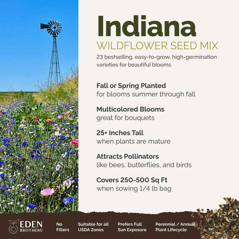 Eden Brothers Indiana wildflower seeds hand planting demonstrates easy sowing for vibrant blooms