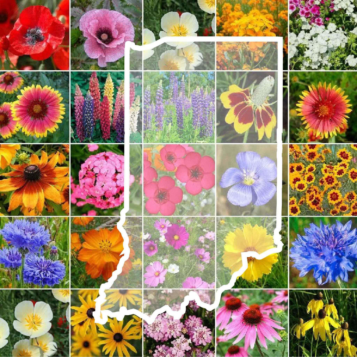 Eden Brothers Indiana wildflower seeds seed bag ready for pollinator-friendly planting