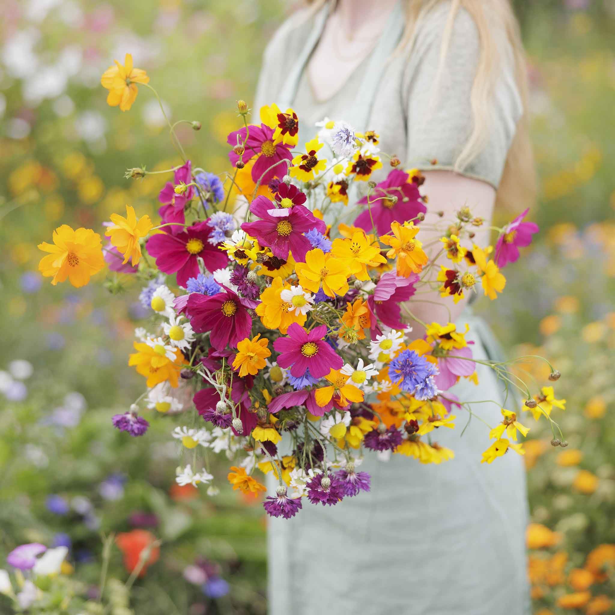 Eden Brothers Midwest Wildflower Seeds seed-pack designed to attract pollinators with diverse blooms.