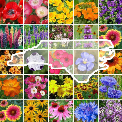 Eden Brothers NC Wildflower Mix seeds pack front for pollinator gardens.