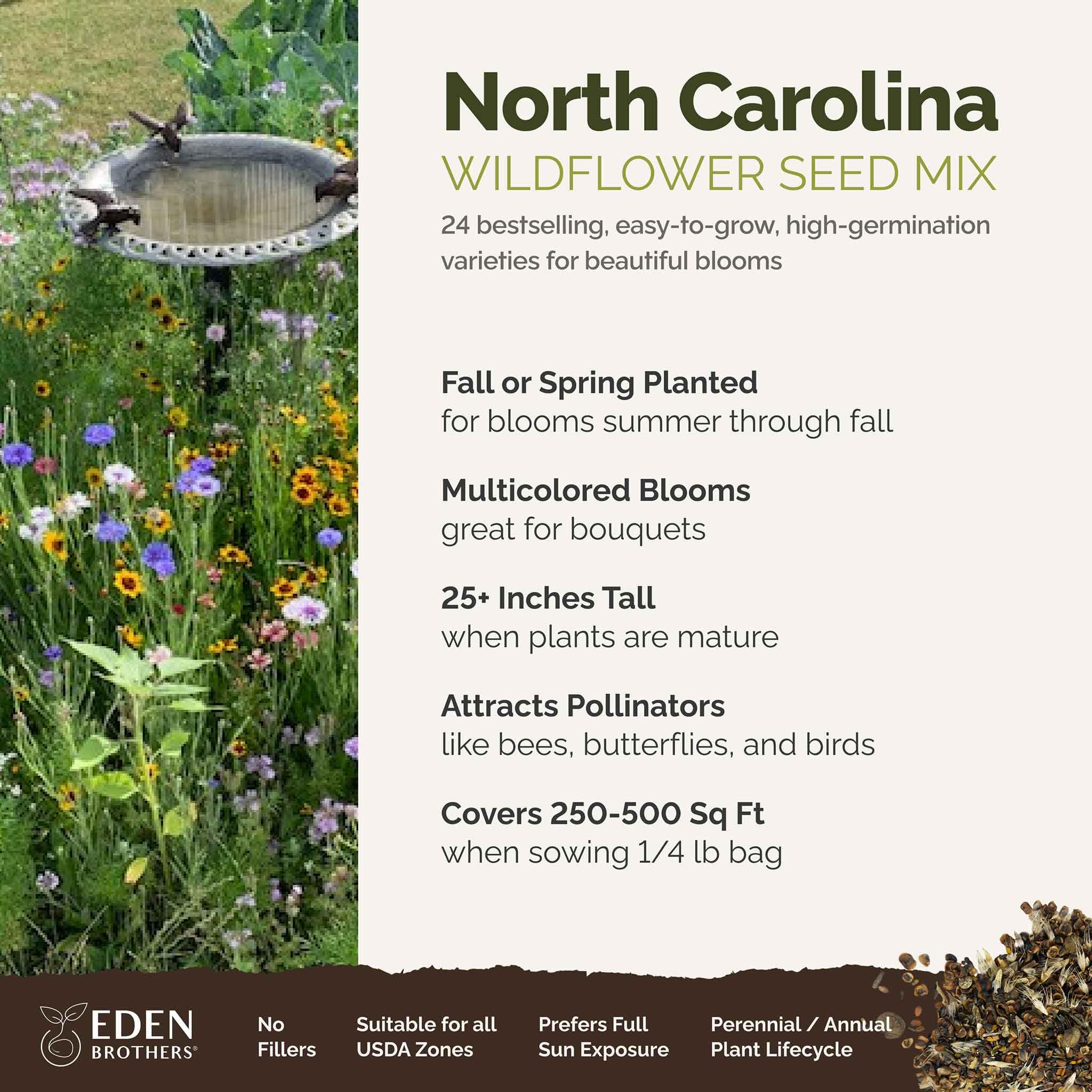 Eden Brothers NC Wildflower Mix seeds spread in soil, ready for spring planting.